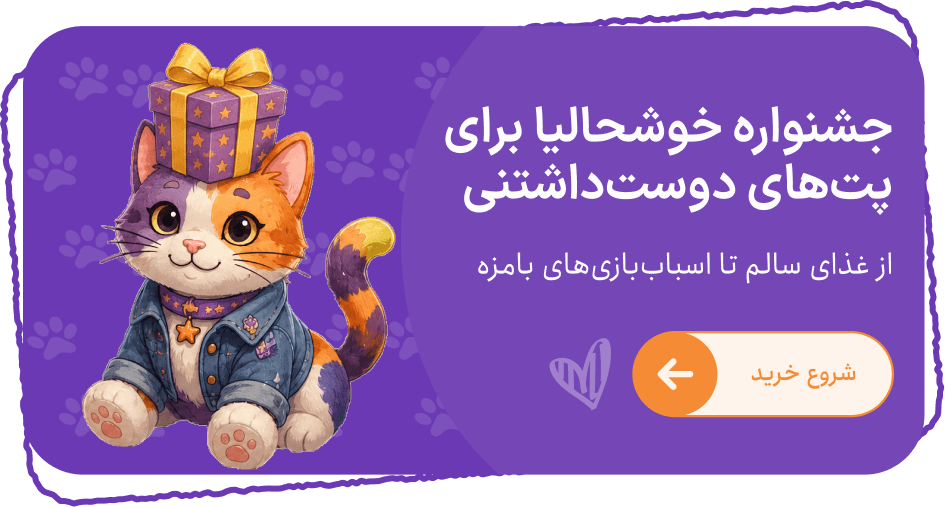 Promo card 1