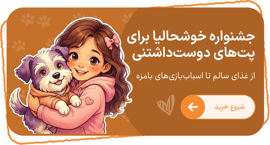Promo card 2